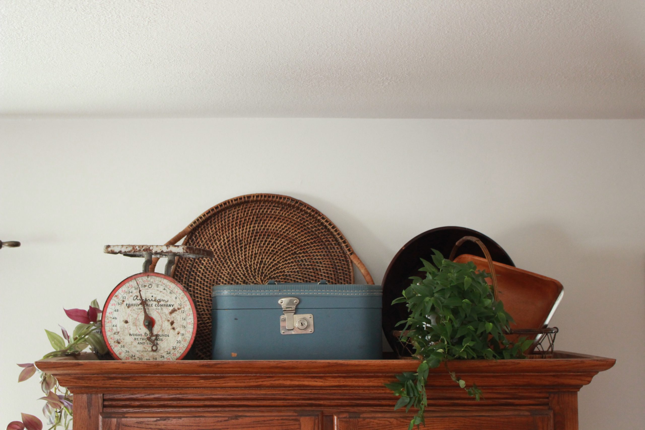 collection of plants and antiques